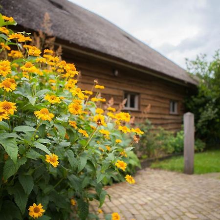 Aan De Aelder Esch Bed & Breakfast Aalden Exterior foto