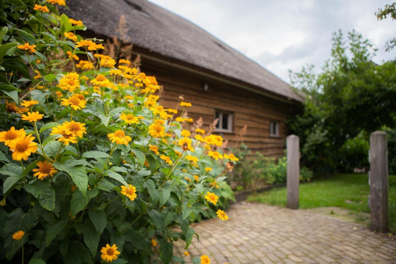 Aan De Aelder Esch Bed & Breakfast Aalden Exterior foto